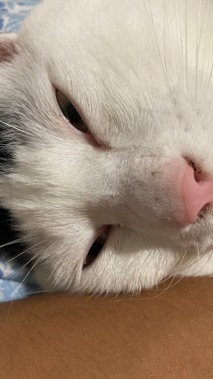 全ての愚痴や悩み、あなたを交代します 自己肯定感上げ師。何でも屋のオカザキです！ イメージ1