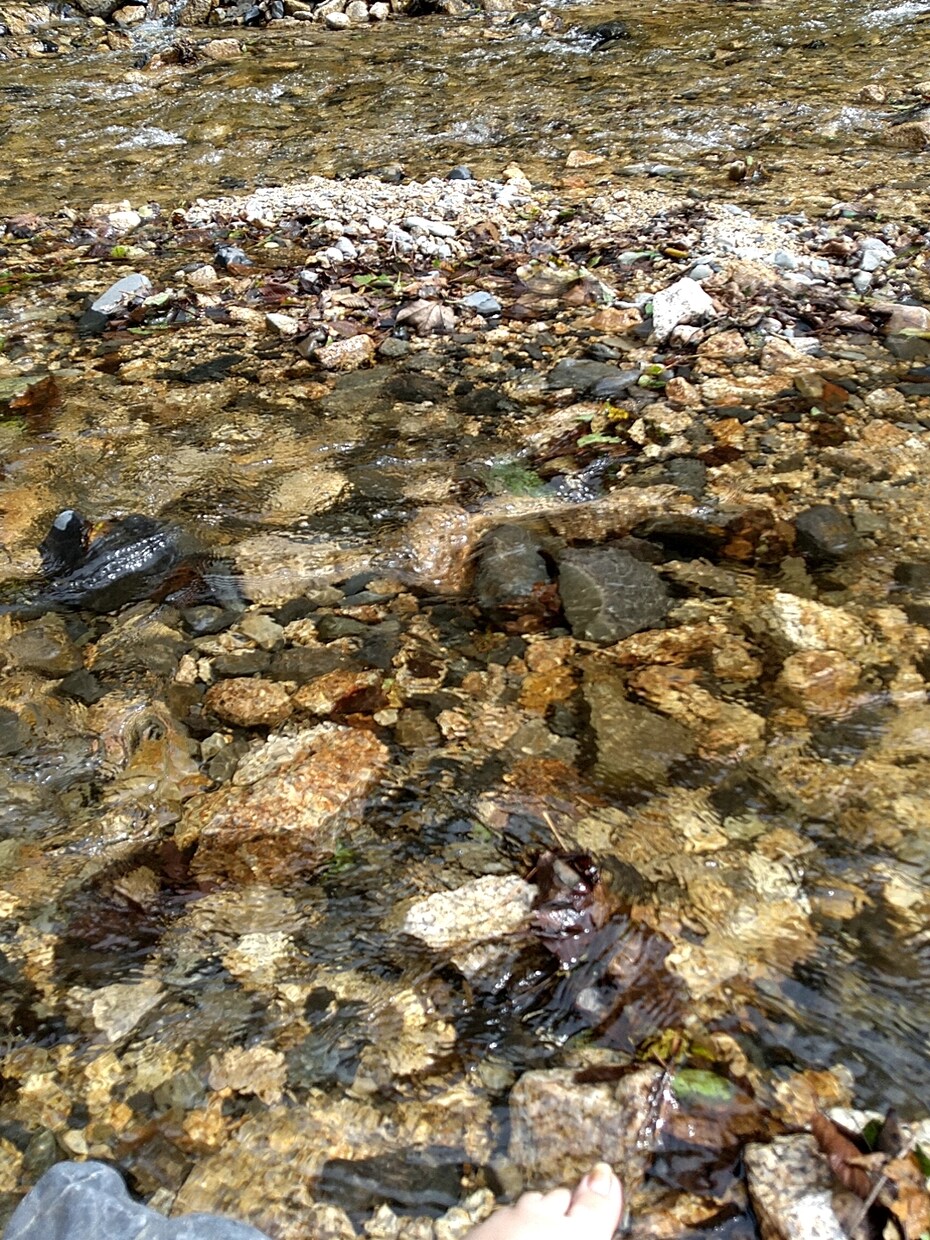 あなた本来の輝きを取り戻すサポートをします 。気功や高次元エネルギーで、身体を浄化&エネルギー注入！ イメージ2