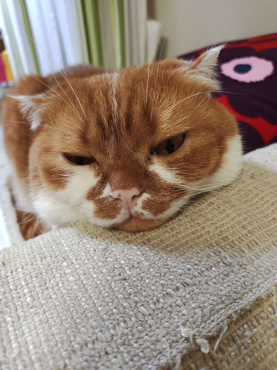 お話し聞きます 現役人事部長があなたのお悩みをじっくりお聞きします。 イメージ1