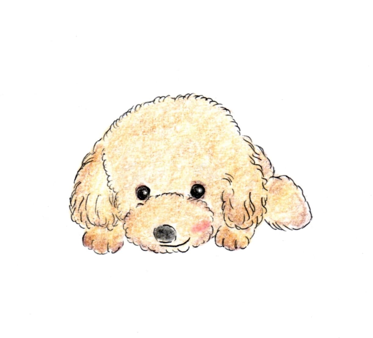 ペットの絵を描きます わんちゃんねこちゃんなどご家族の一員を可愛い絵にします イメージ3