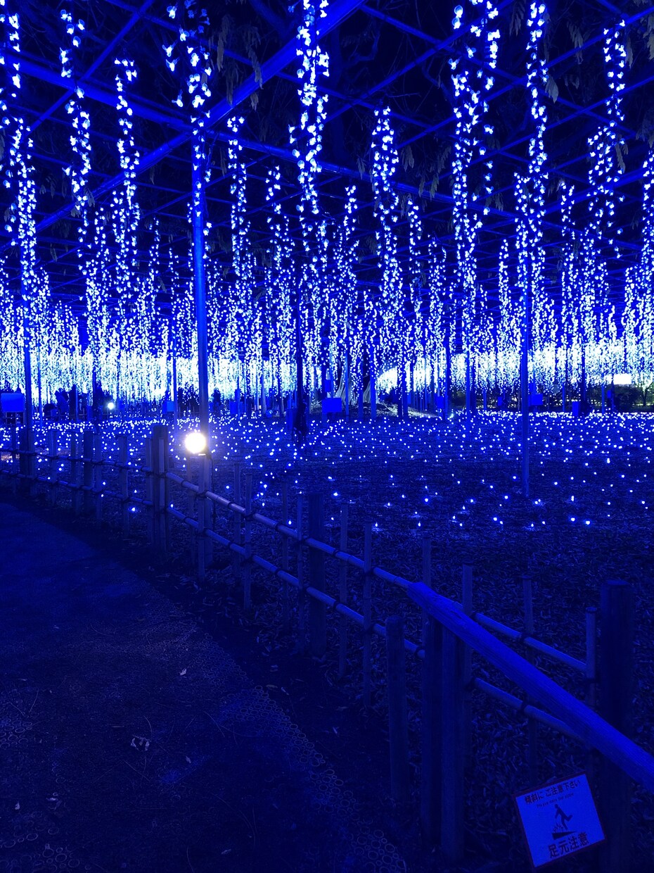 あなたのお悩みや、不満、愚痴を聞きます 心理カウンセラーとして、心の重荷や不安を軽くしたいです！ イメージ1