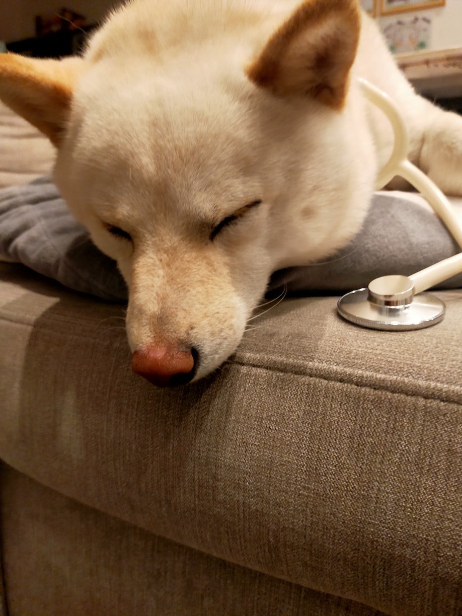 眠れなくて不安な方、眠りにつくまでお話します。ます 不眠症、愚痴聞き悩み恋愛相談、介護育児疲れ現役看護師聞きます イメージ1