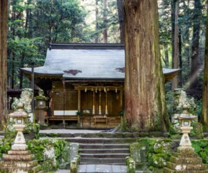 離婚すべきか、このままか、未来の不安霊視鑑定します 24時間以内即納話す・待つ・距離を置く/必要な一歩霊視します イメージ9