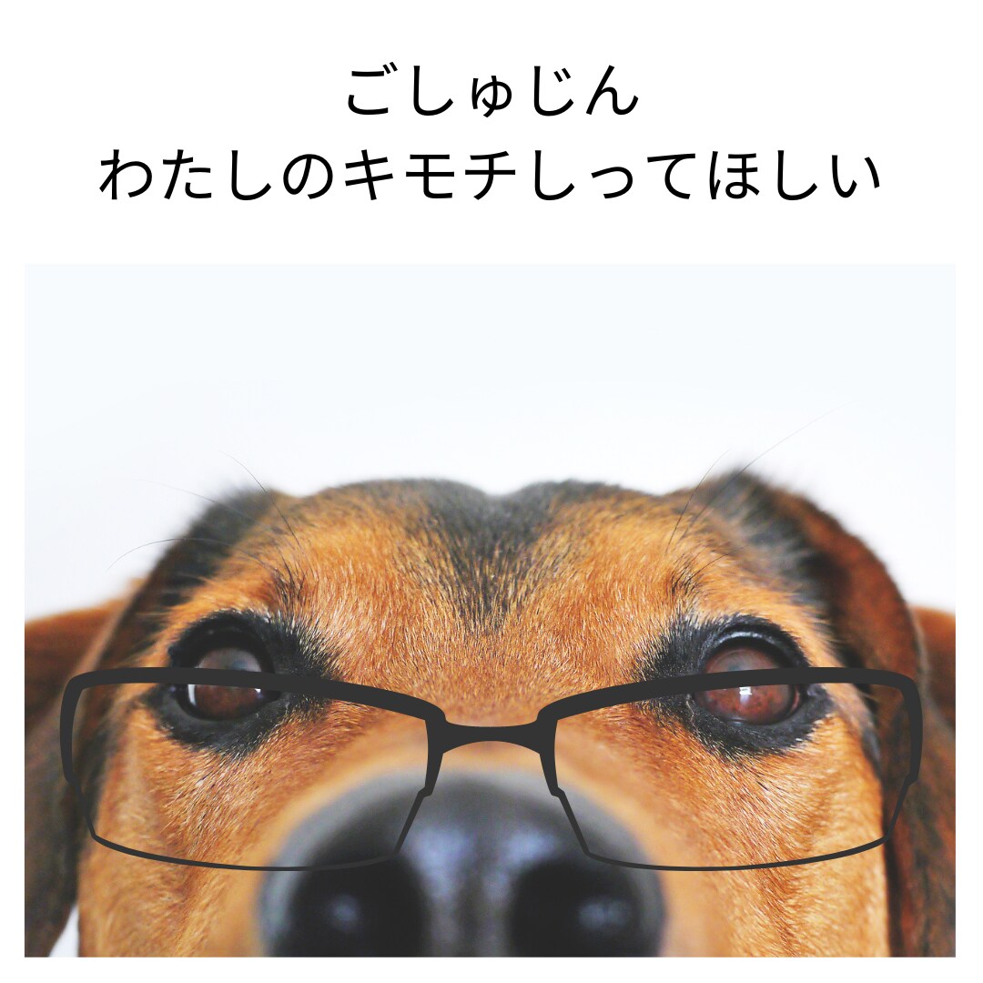 なぜ！？噛む逃げる！愛するペットの気持ちを届けます 貴方の愛の心をお届けすることで変化を実感 イメージ7