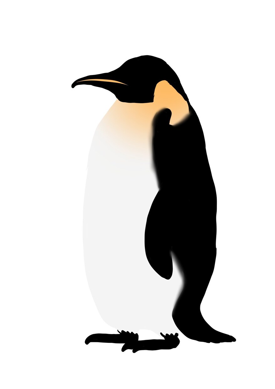 安価で動物のイラスト描きます ※アイコン使用以外の用途でもでもご利用いただけます。 イメージ7