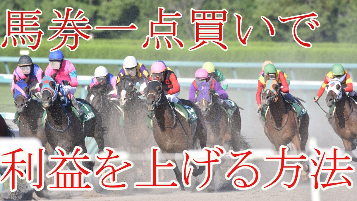 馬券1点買いで利益を上げる投資手法教えます 競馬で臨時収入が欲しい、副業をやってみようと考えている方 イメージ1