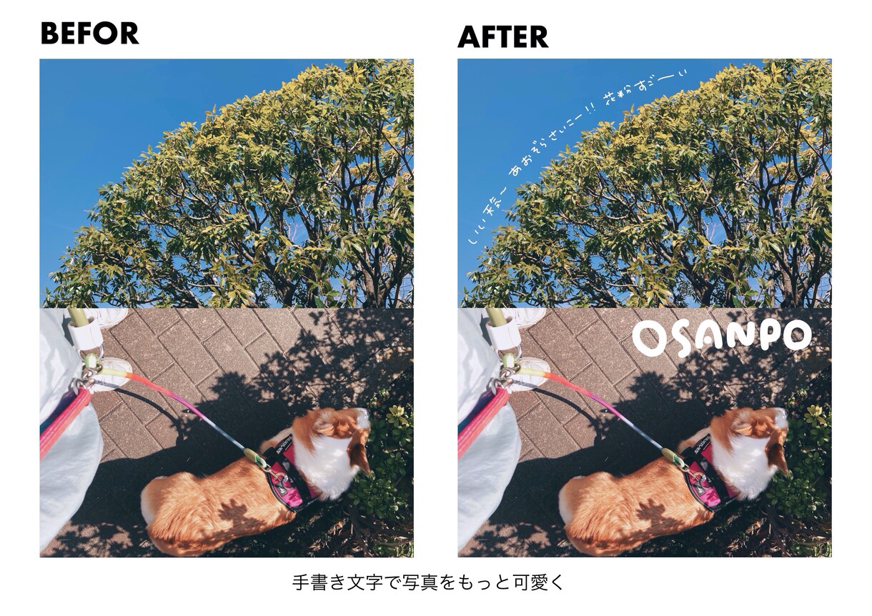写真に手書き文字をお入れします SNS投稿をもっと可愛くおしゃれに イメージ2