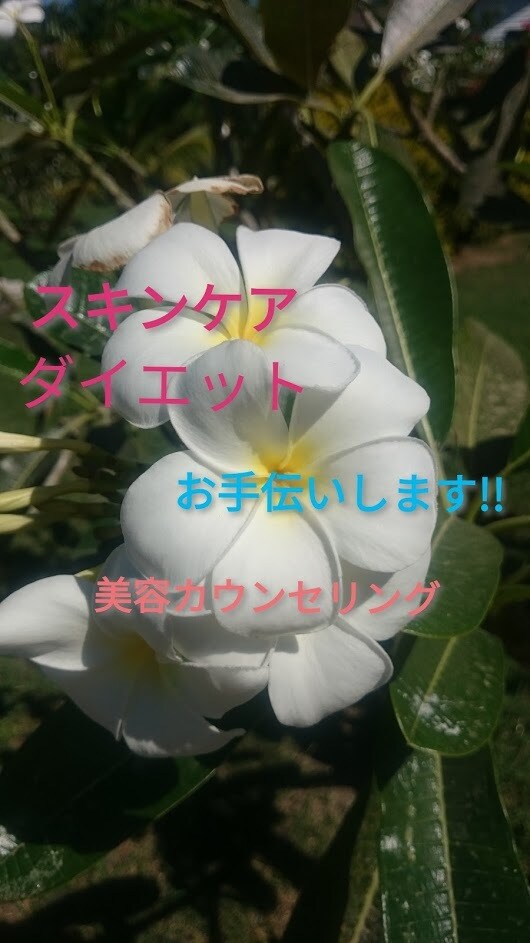 ダイエットの相談のります 肌、ダイエット、病気、生理、私の経験や失敗談からアドバイス イメージ3