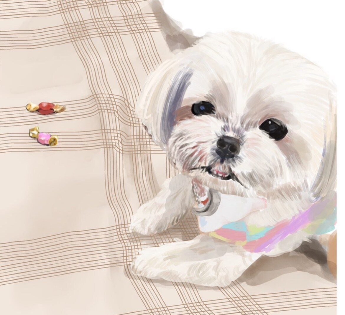 贈り物・メモリアルに寄り添うペット似顔絵を描きます 想いを形に。グッズ化のご相談も承ります。 イメージ2