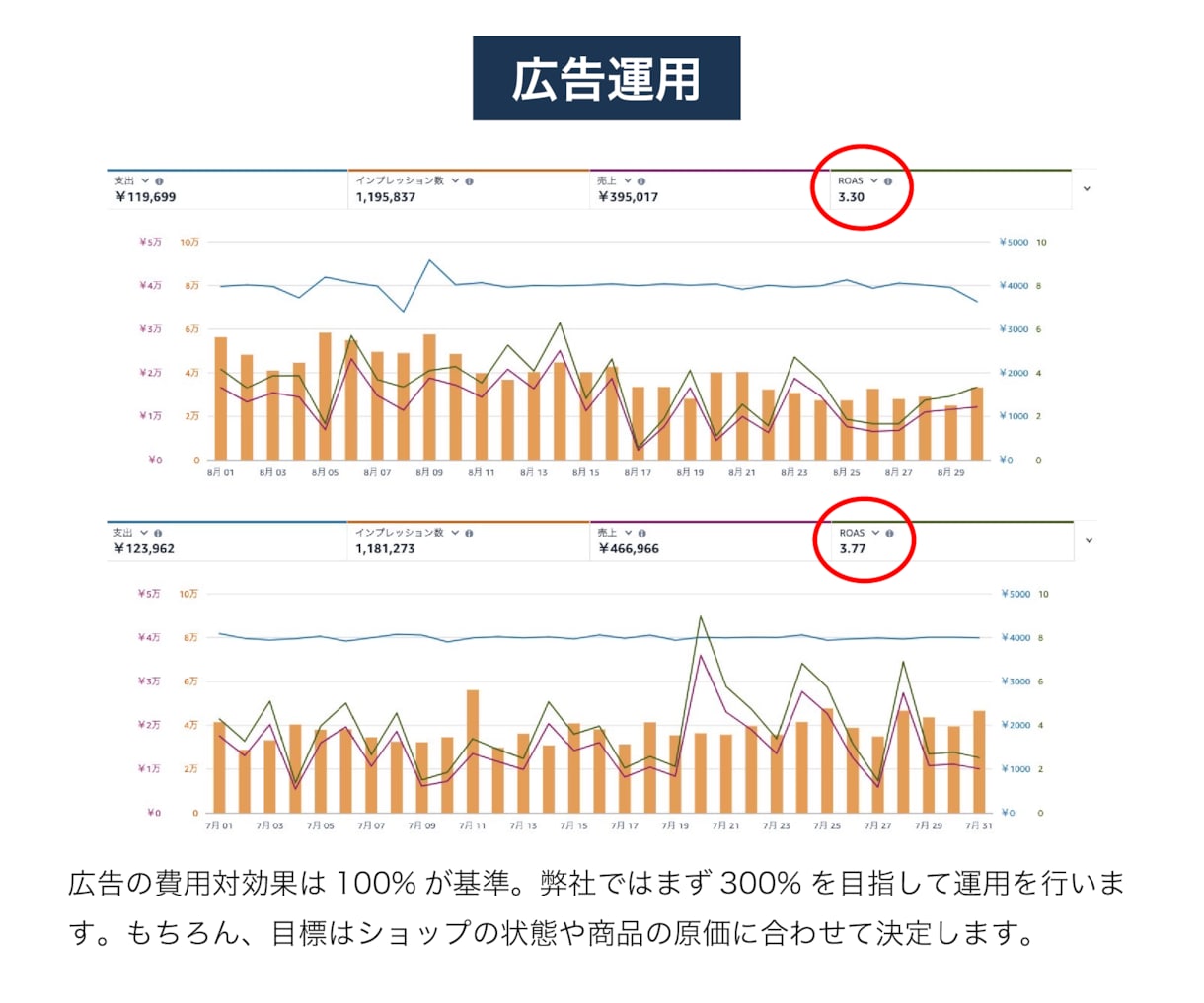 コスパ最強！EC店長が１ヶ月専属で広告運用します 累計100社以上！Amazon / 楽天◎新規店舗歓迎◎ イメージ5