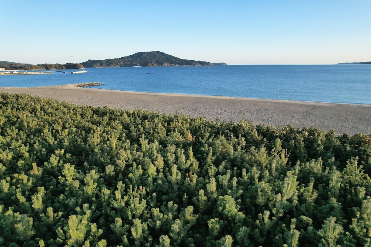岩手県陸前高田市の動画素材提供します 『あの辺、今どうなってるんだろう』ゴープロ使用 イメージ2