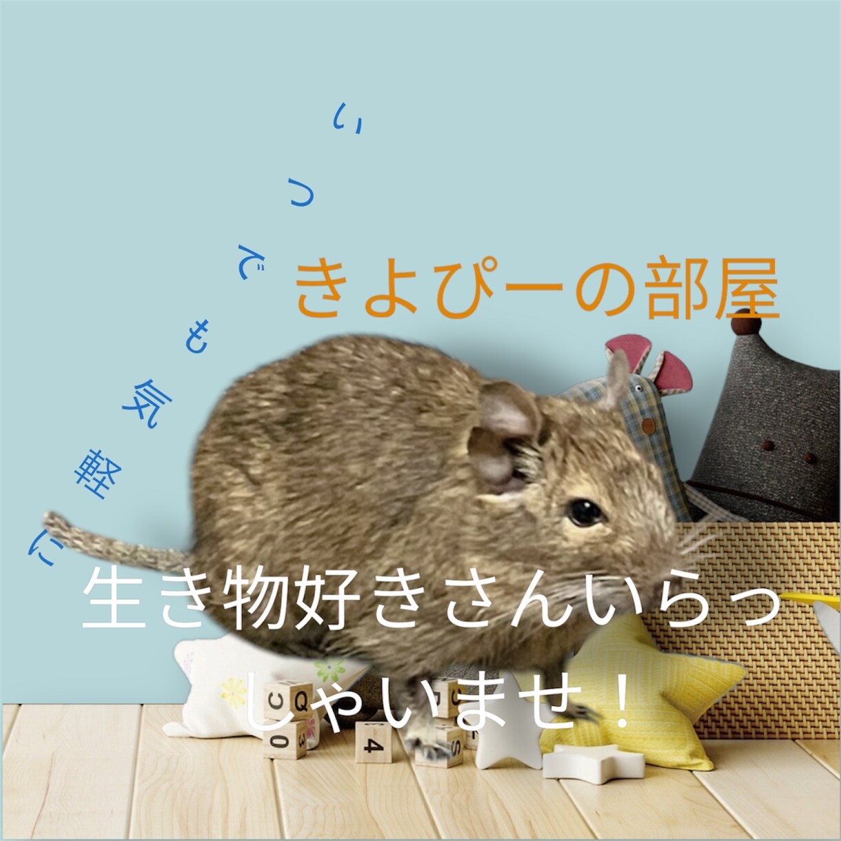 犬猫小動物｜生き物好きさんの相談や自慢話を聴きます トークルームで10通やりとり-通話と違い落ち着いてトーク可能 イメージ1