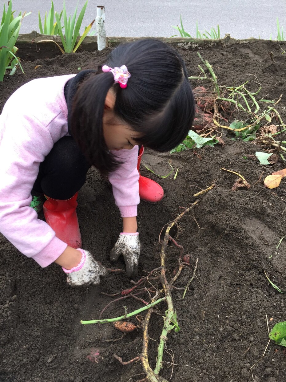 子育てで悩んでおられる方へ、ご相談にのります 我が子の事がわからない…子育てに悩んでる方へ イメージ3