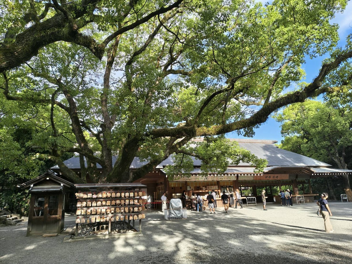 シングルマザーのお悩み，病気等の心配事を解決します おばさんの相談室。子育て病気何でも経験した私のアドバイス イメージ2