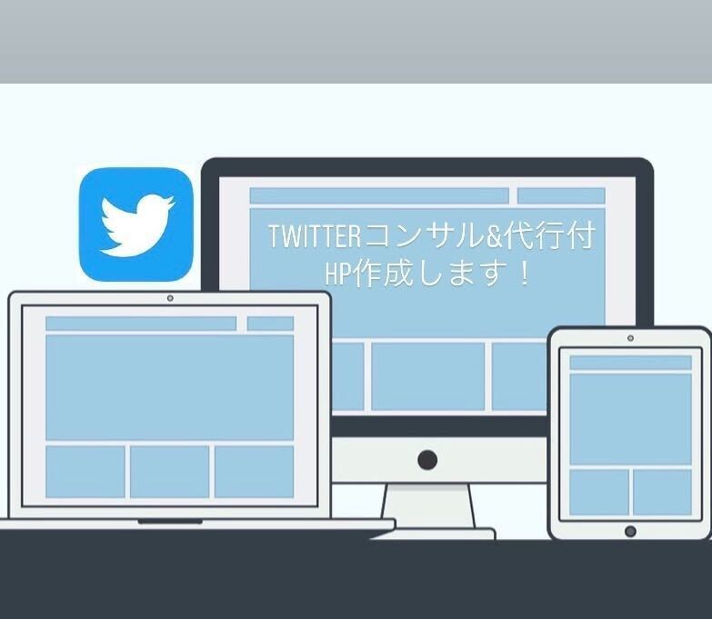 twitterアドバイス&代行付★HP作成します ★SNS×HPでブランド力を高め、ファンを増やしましょう！ イメージ1
