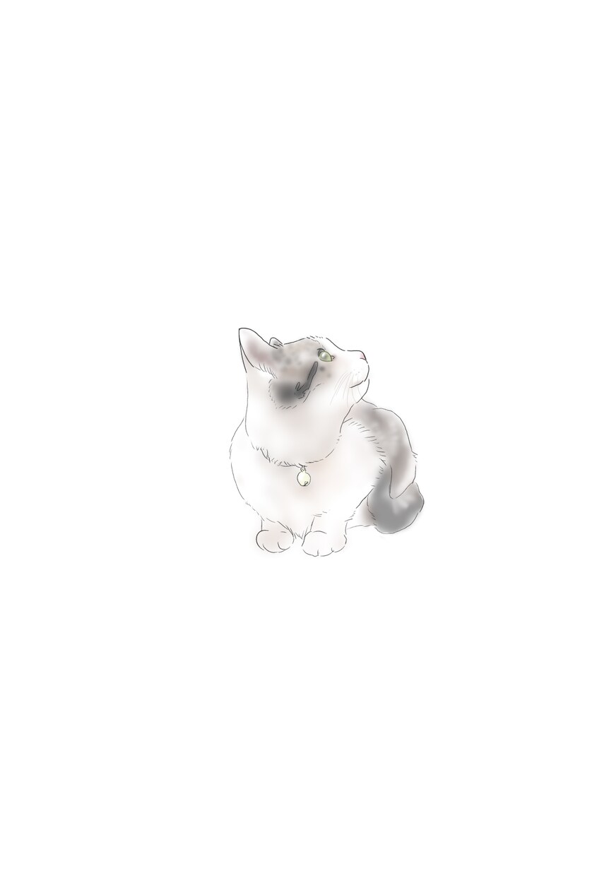フォローで￥300OFF！優しいタッチで描きます ナチュラルで飾りやすい優しいタッチのペットアートを制作 イメージ3