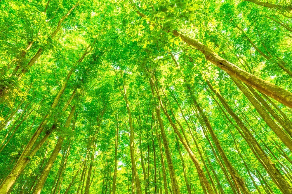 話し相手をします 何でも聞きます。気軽に話してみてください。 イメージ2