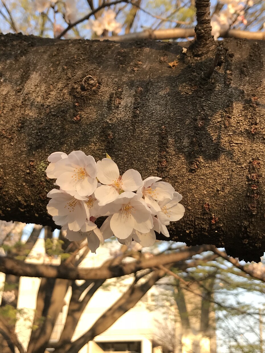 手紙などの代筆を致します もしお金にこまったら？心を打つ手紙でもお願いしてみては？ イメージ1