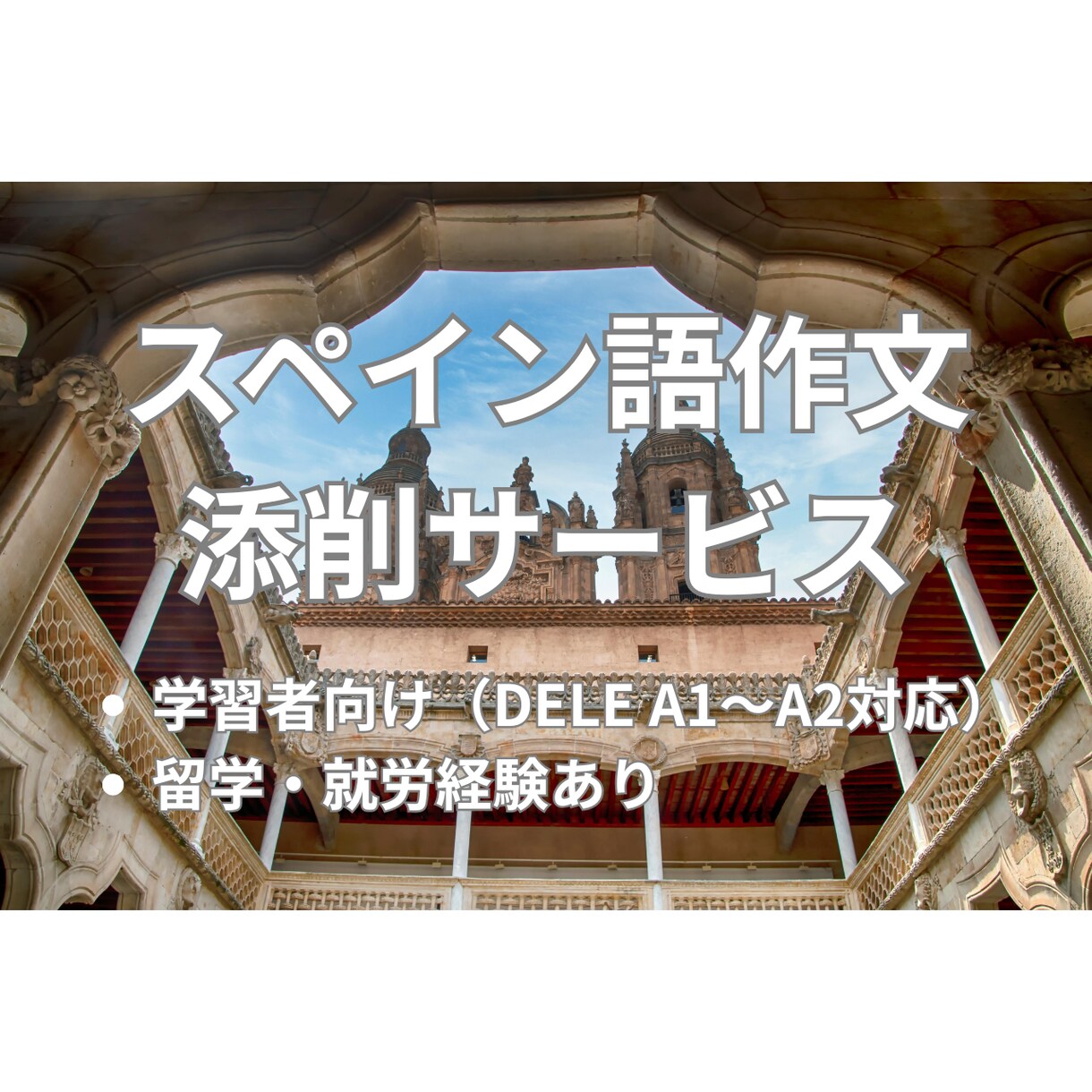 スペイン語作文を添削します 留学・生活経験を活かした自然な言い回し！ イメージ1