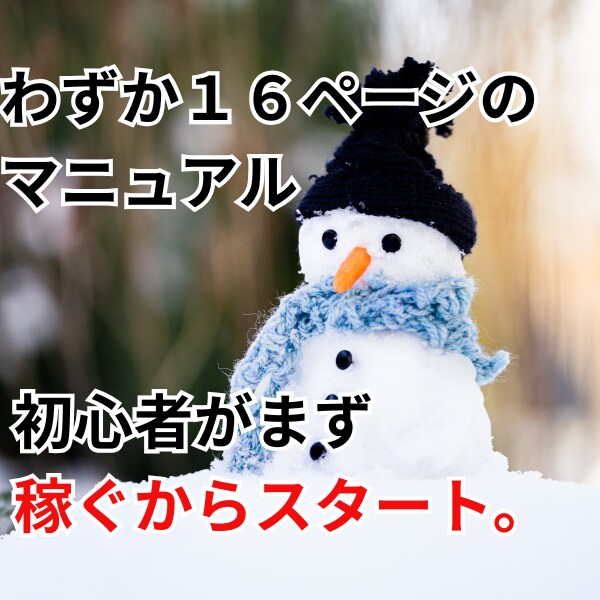 副業初心者さんがお家完結で稼ぐ方法教えます わずか１６ページのマニュアルの簡単作業であとは待つだけ イメージ1