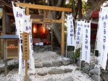 「無料モニターさん募集中です！」石神さん代理参拝します♡ イメージ1