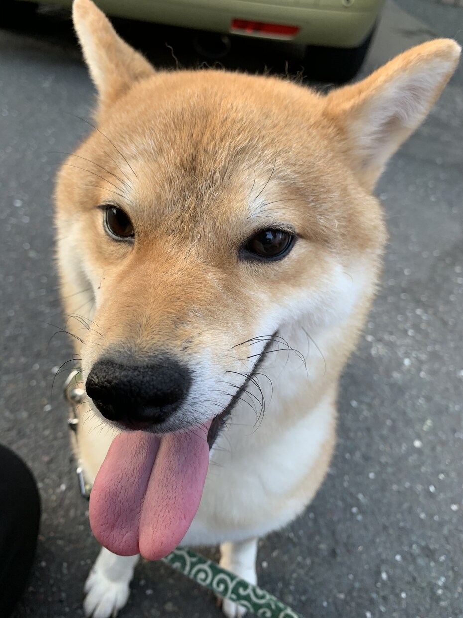 お悩みに寄り添います 自分の考えや行動で自ずとかわるかもしれません イメージ1