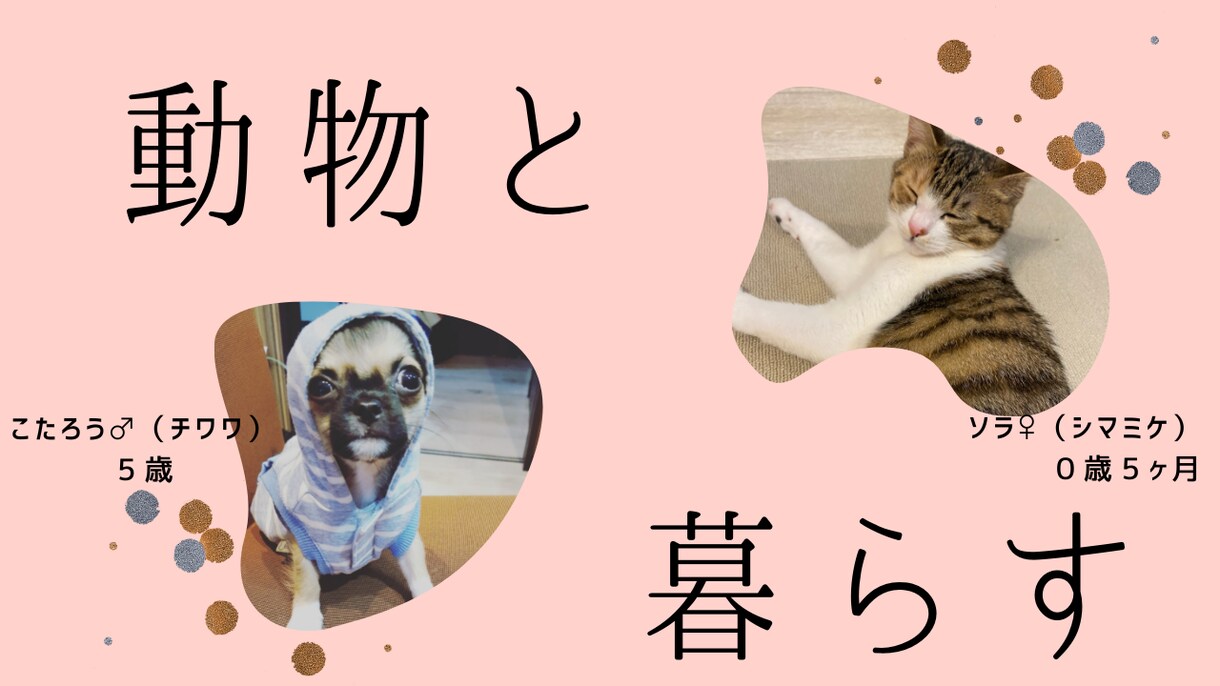 YouTube動画のサムネイル作成致します 最短1日納品♪おしゃれなサムネイル作成します♪ イメージ6