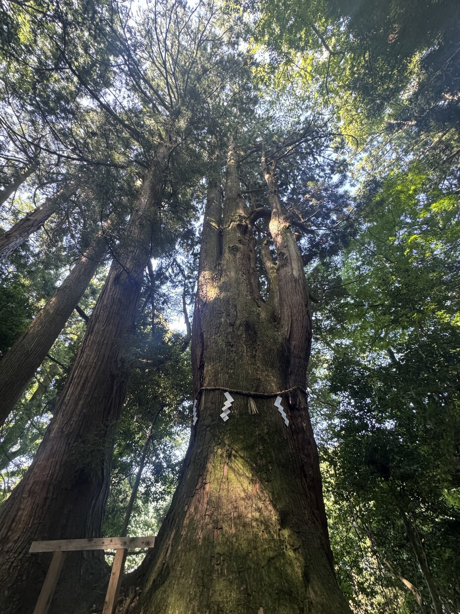 あなた様の悩み 恋愛仕事対人 どんな話でも聞きます 話すと自然と楽になる　リラックスしながらゆるりと イメージ1