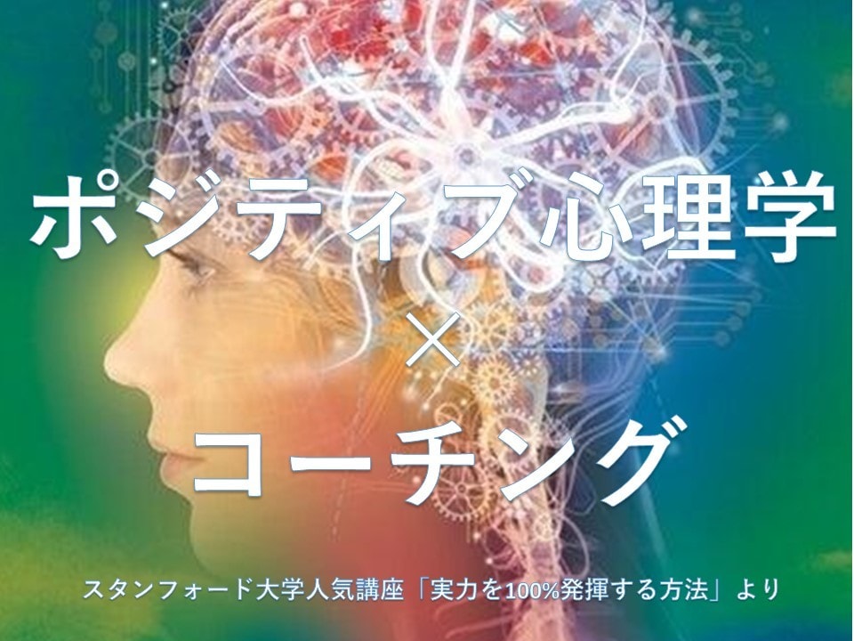 あなたの妨害者を心理学で見える化します 診断後のコーチングで、あなたの実力を100%発揮 イメージ2