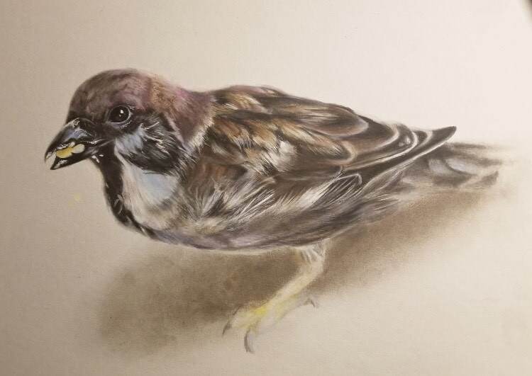 あなたの思い出を御描きします あなたの思い出や写真、ペットを御描きします。 イメージ5
