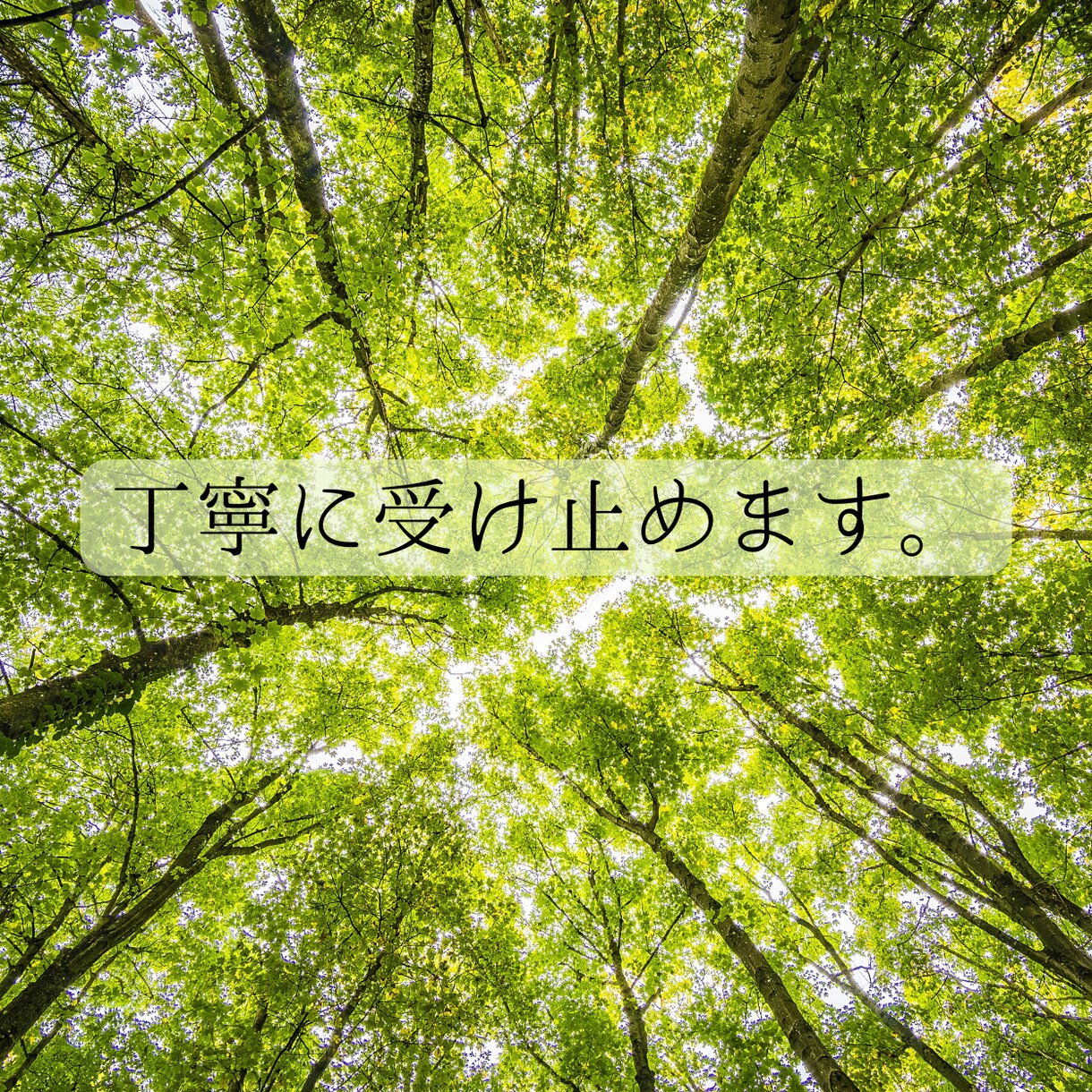 今話したい！カウンセラーがお聴きします １分からでもお試しOK！雑談、愚痴、なんでも聴きます。 イメージ8
