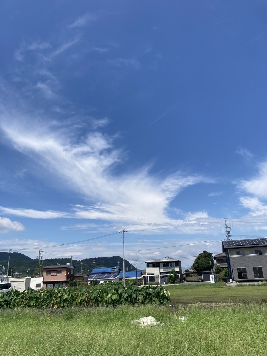 学生限定＊あなたの悩みなんでも聞きます 親や友人、学校の先生など誰にも言えない悩み、話してみませんか イメージ1