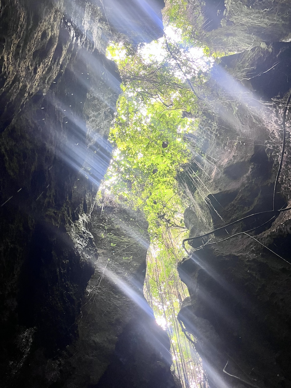人生を変えるバリ島最強パワスポ旅のしおり作成します 本物のパワーを感じる神聖な聖域で心と体をリセットする旅へ イメージ5