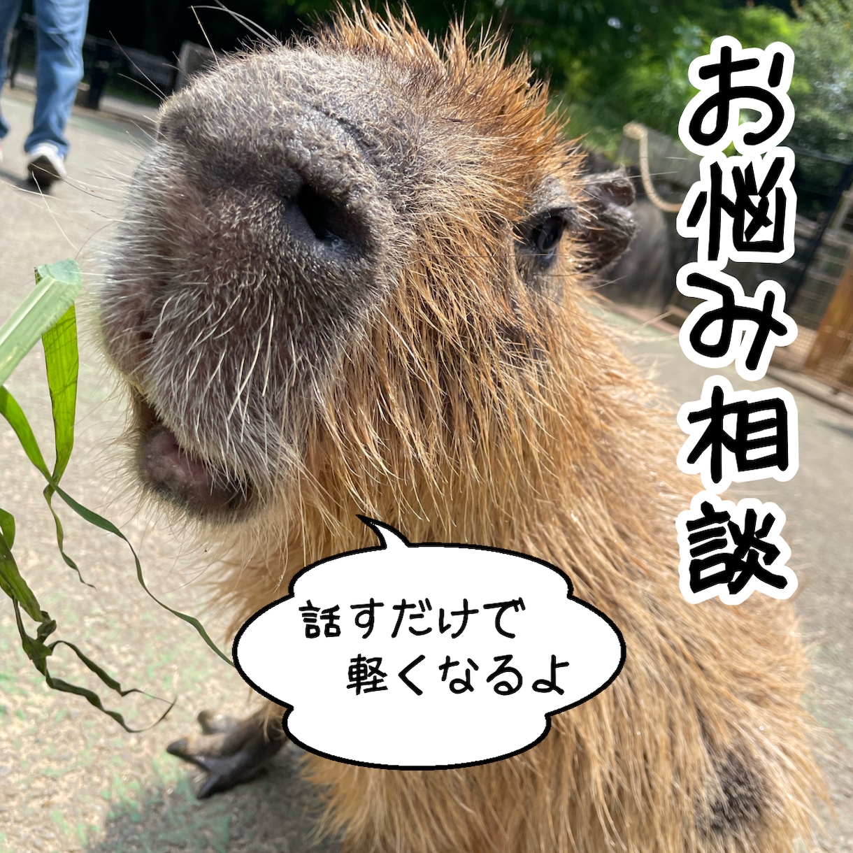メンタル心理カウンセラー資格者が悩みをお聞きします 〜誰かに話すことで、あなたの人生は動き出す〜 イメージ1