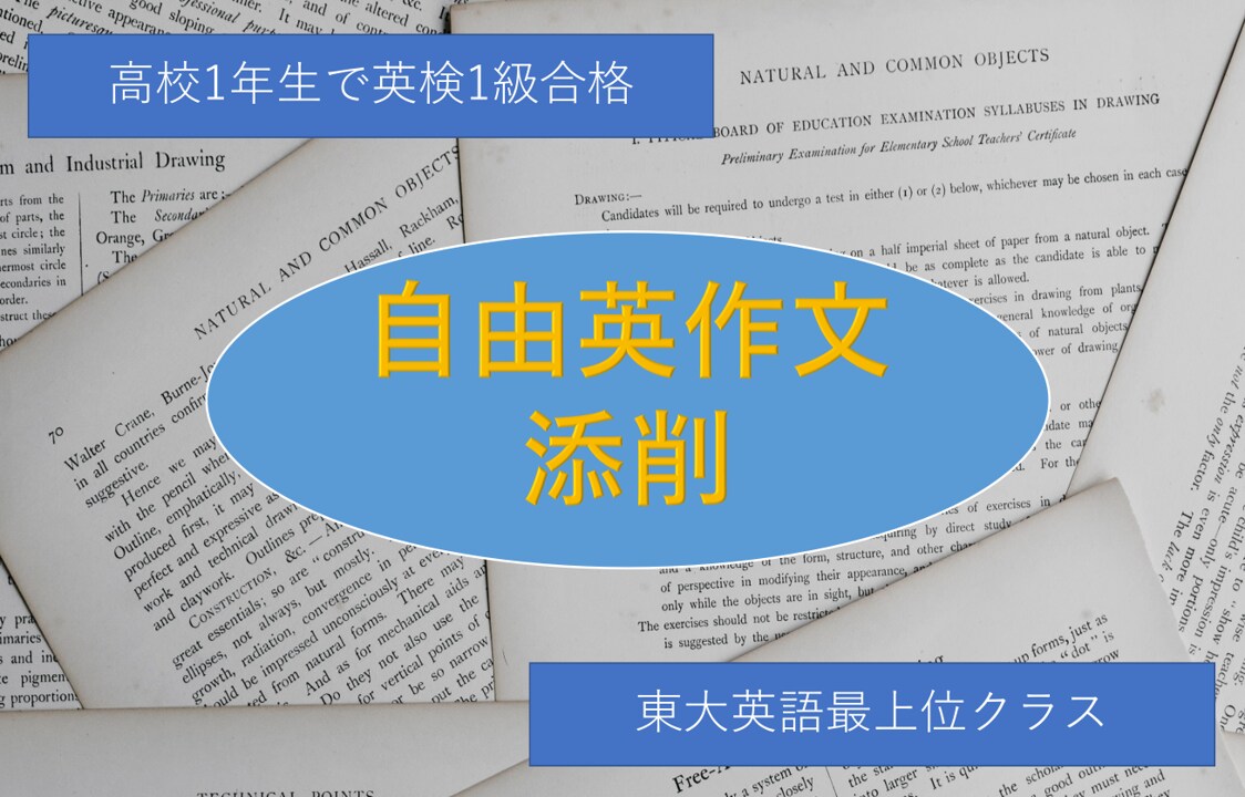 東大医学部生が大学受験の自由英作文の添削をします 大学受験で点数を取るために必要な添削をしていきます イメージ1