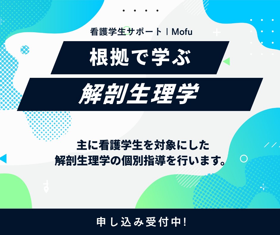 苦手を根拠で理解する解剖生理学 個別指導します 構造と機能、疾患、看護がつながると、一気に理解できます イメージ1