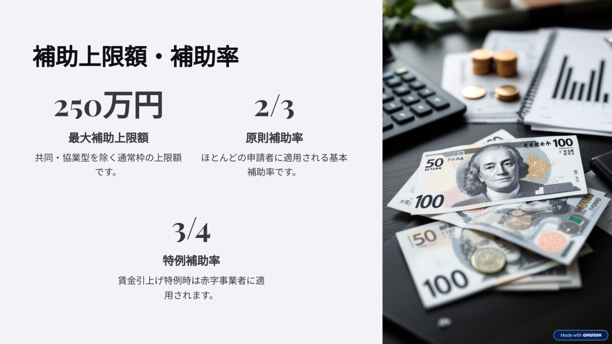 小規模事業者持続化補助金申請をプロがサポートします 認定支援機関が採択に向けて全力支援！ イメージ6