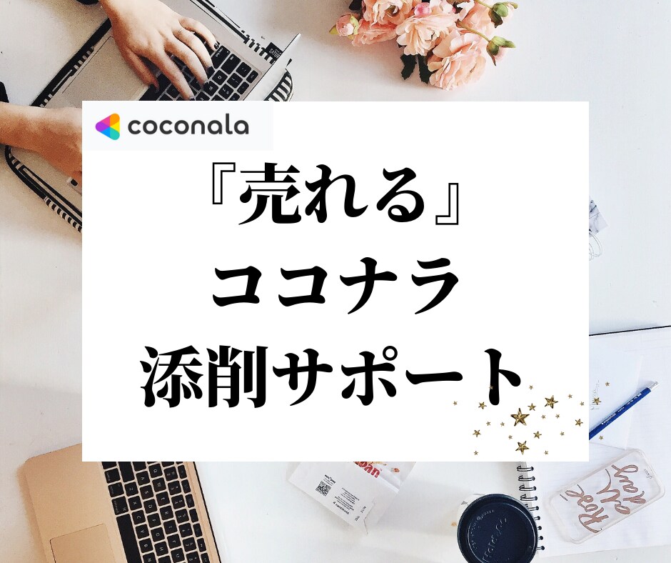 どうして売れないんだろう？そんな疑問を払拭させます 初心者の売れるココナラ商品作り・プロフィールの添削をします イメージ1