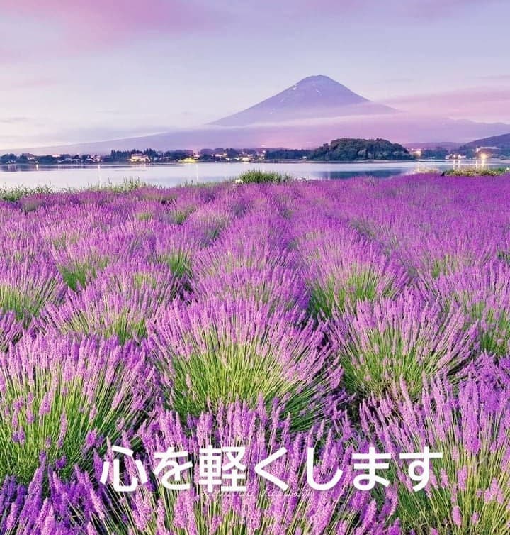 30日間伴奏❤️憧れの部屋作りを全力サポートします ビデオチャット×2回無料★心の整理も優しく応援　依存症OK イメージ7