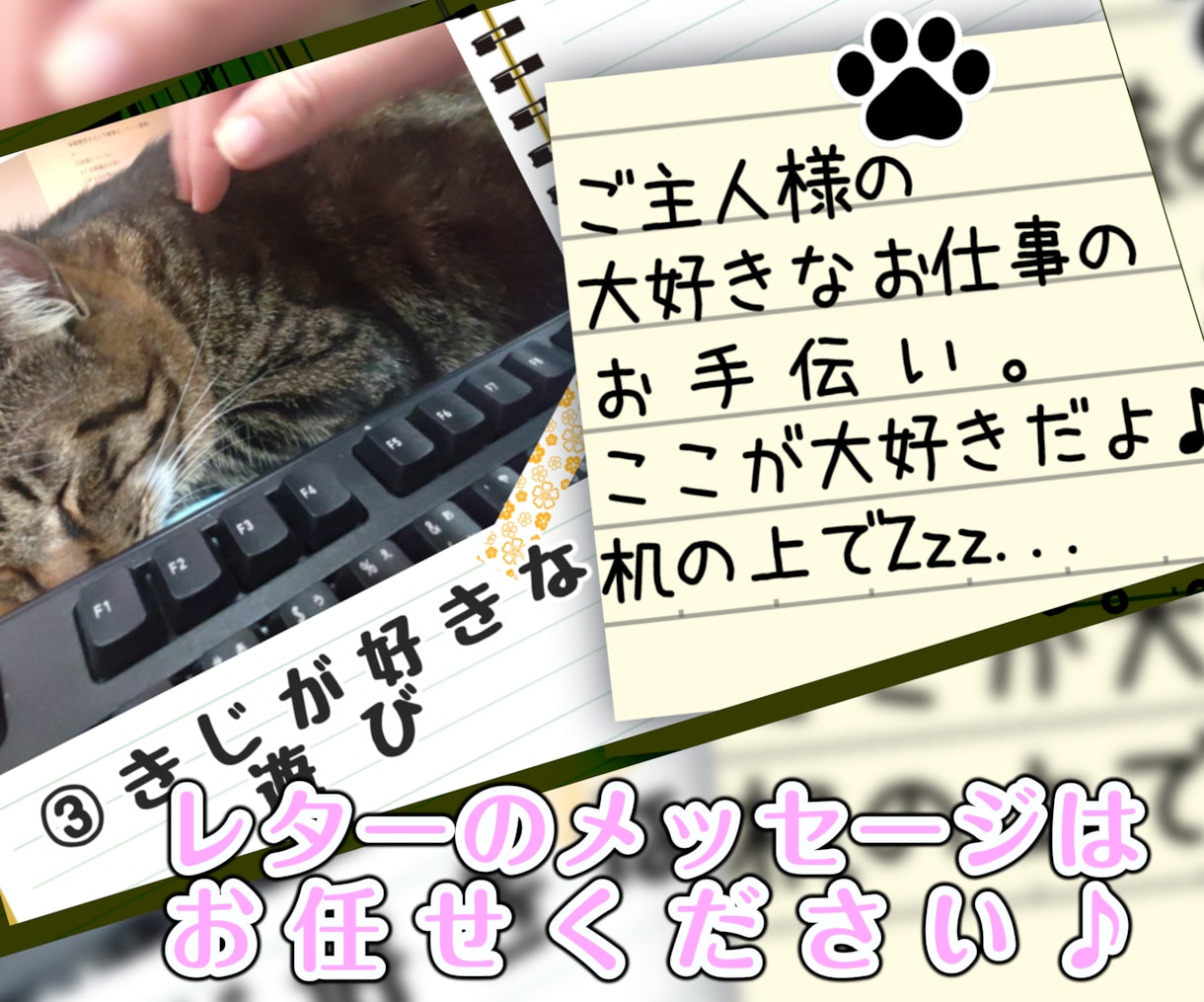 大好きなペットちゃんの説明書（動画）製作します ♪　ペットが好き好き♪　飼い主様のインタビューをもとに作成！ イメージ5