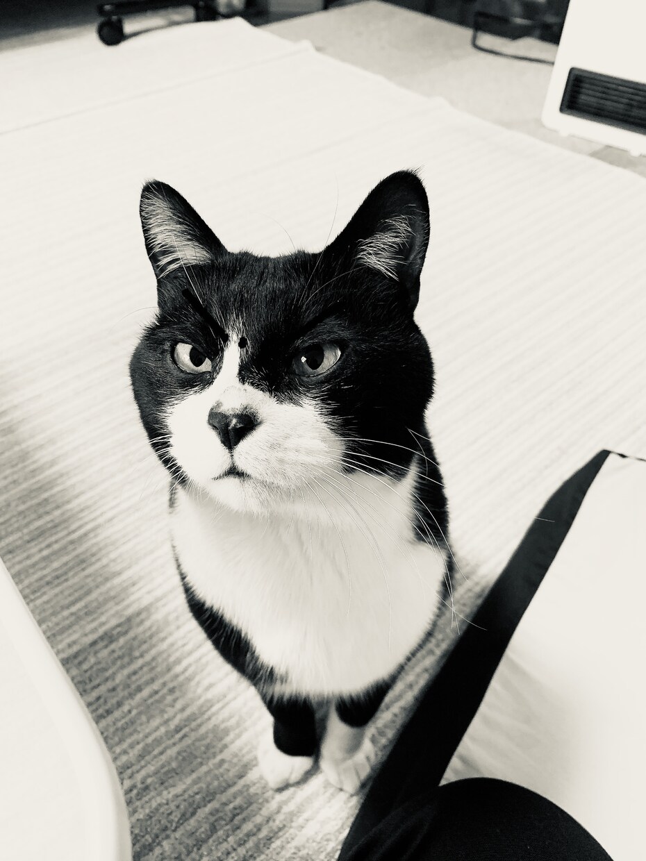 お話相手になります 悩みでも惚気でもなんでも聞きます(^^) イメージ1