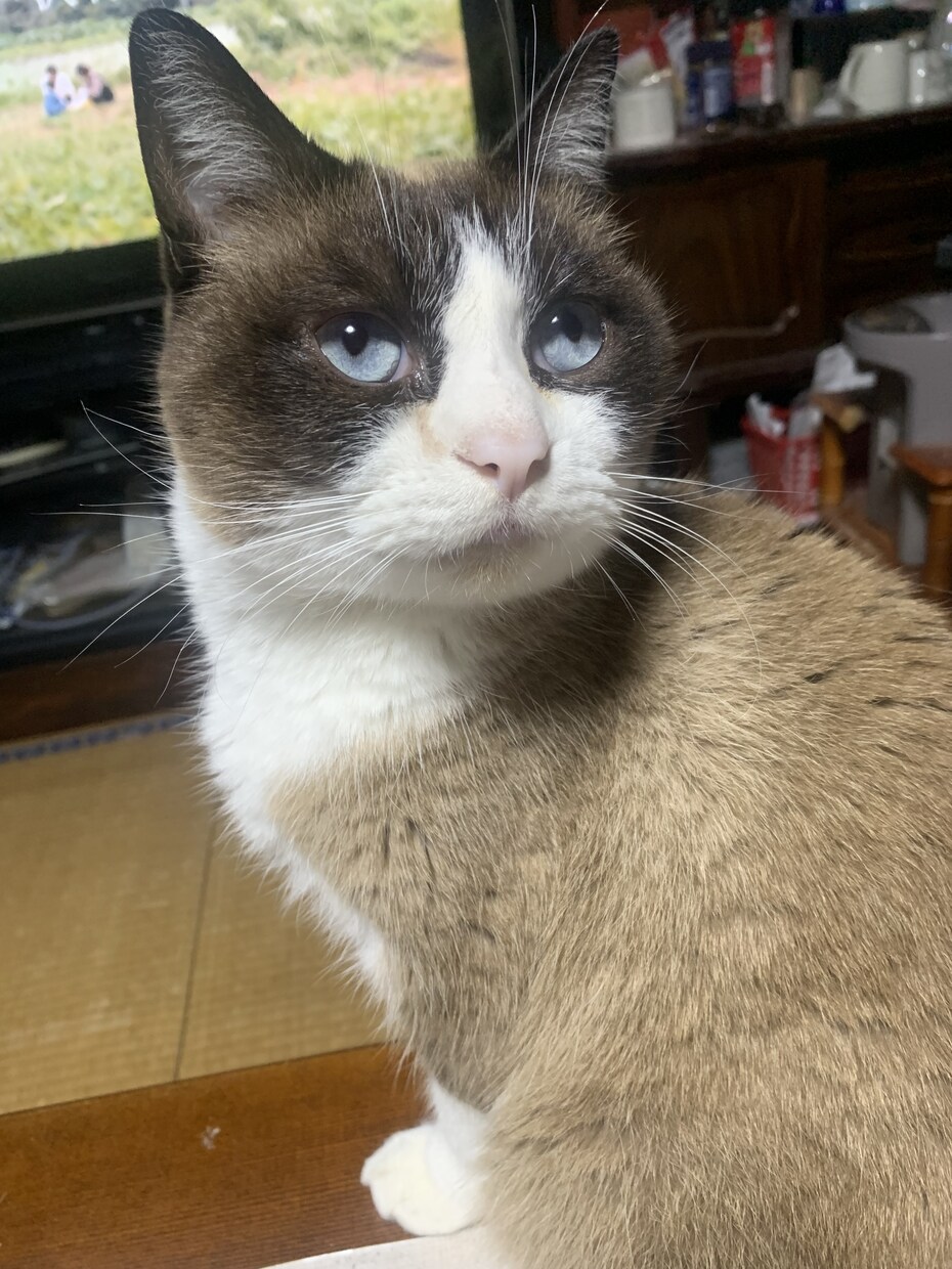 うつ症状でも安心して話せる居場所ここにあります 経験者だからこそ分かる気持ちに寄り添います！ イメージ1