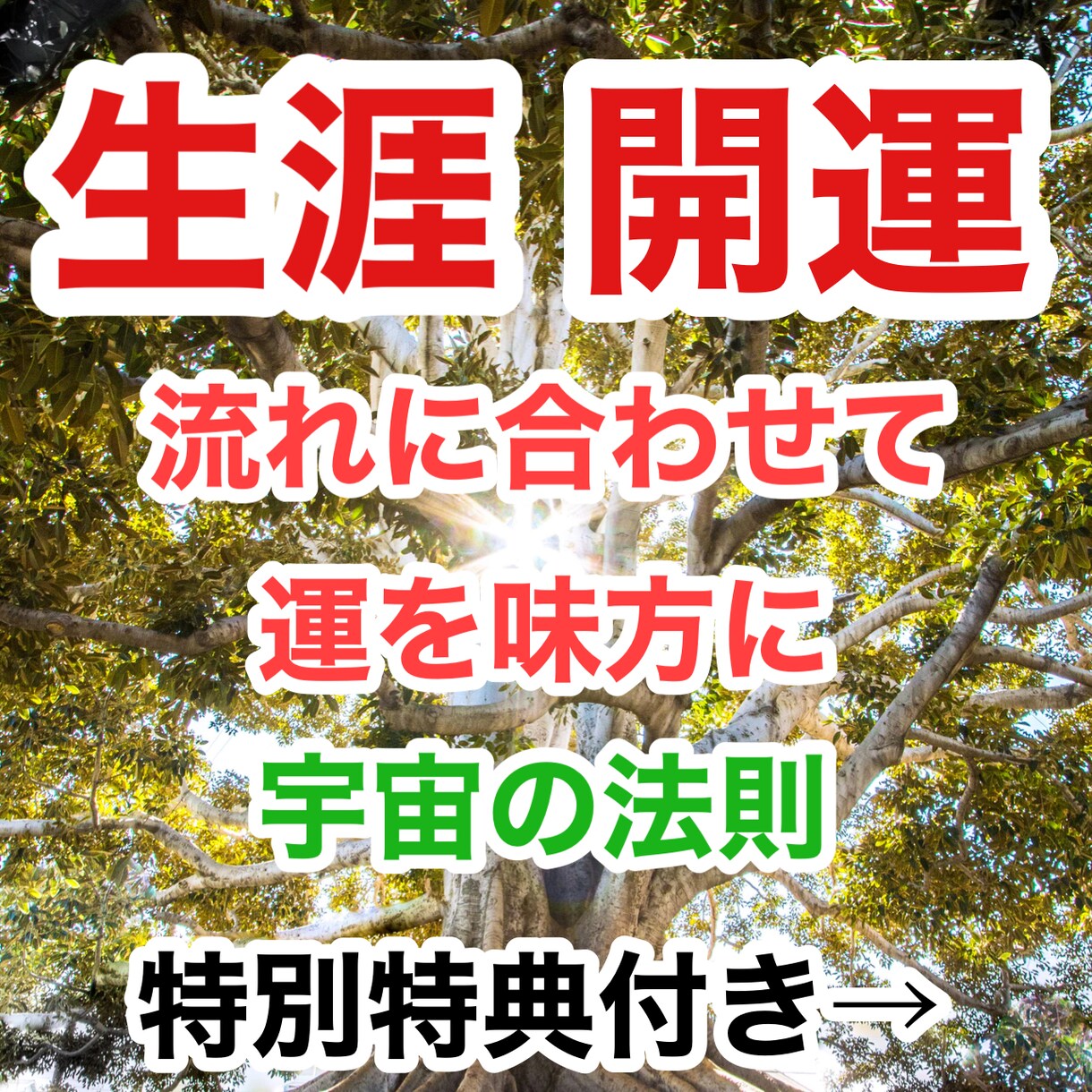 簡単に運を味方につける方法教えます どの流れの時に、どう流れに乗るか指針がわかる イメージ1