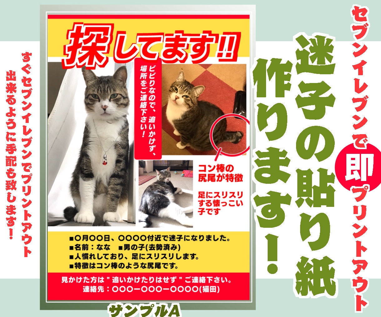 突然のペット迷子！でも大丈夫！迷子チラシ作ります 貼り紙をセブンイレブンで即印刷出来るよう手配致します! イメージ3