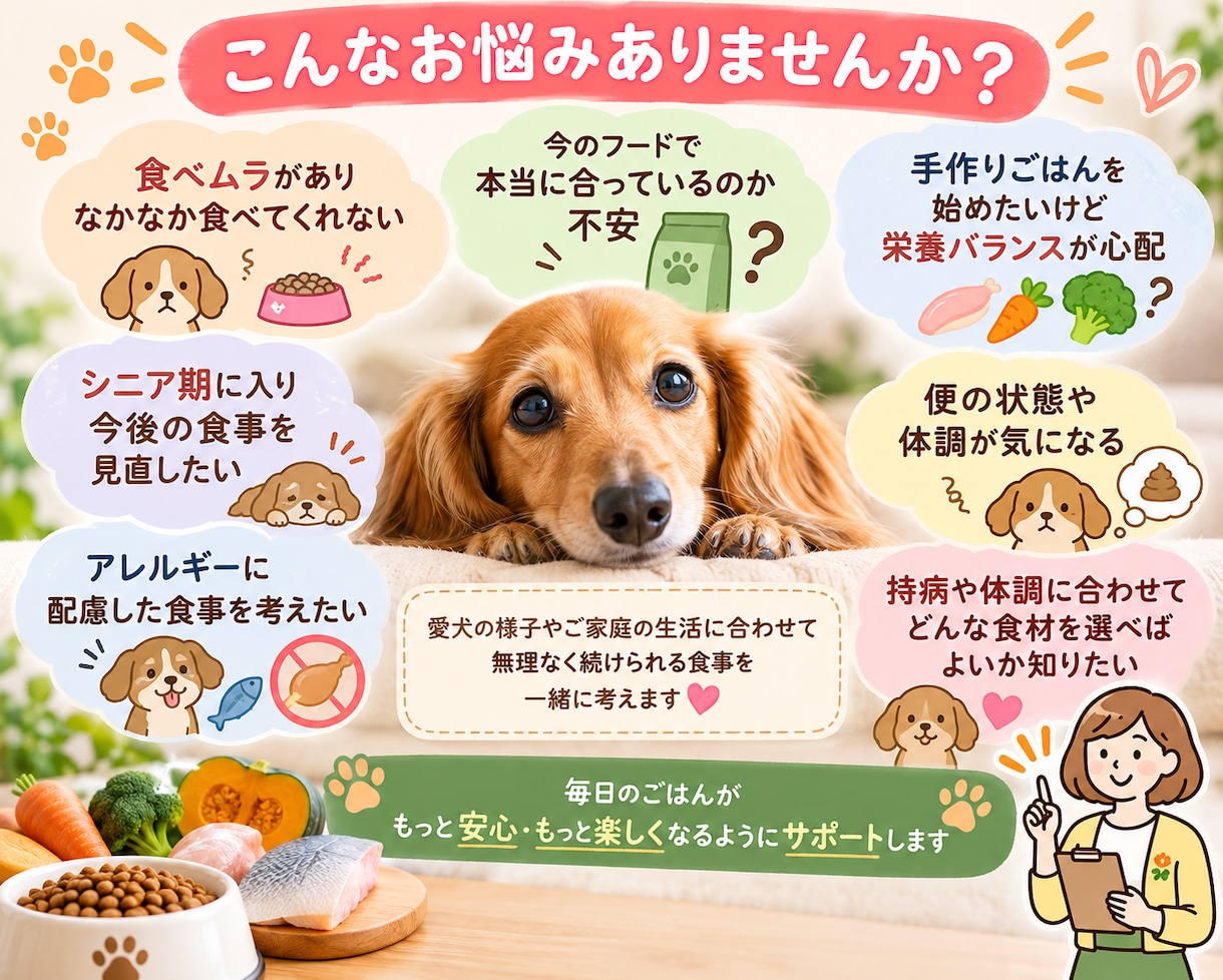 愛犬に合った食事を一緒に考えます 体調や年齢に合わせて毎日のごはんを丁寧にサポート イメージ2