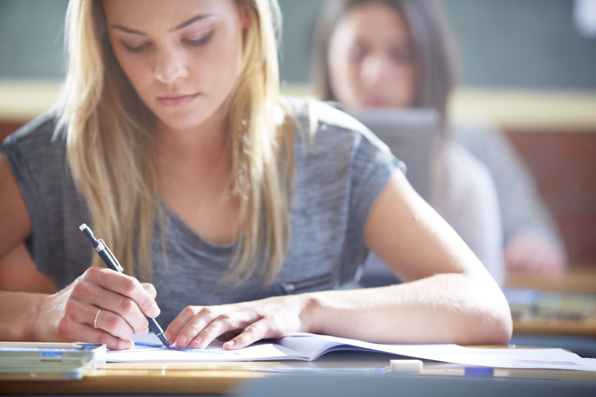 500字程度の英語の日記など添削します 英語が合っているかわからないすべての人へ イメージ1