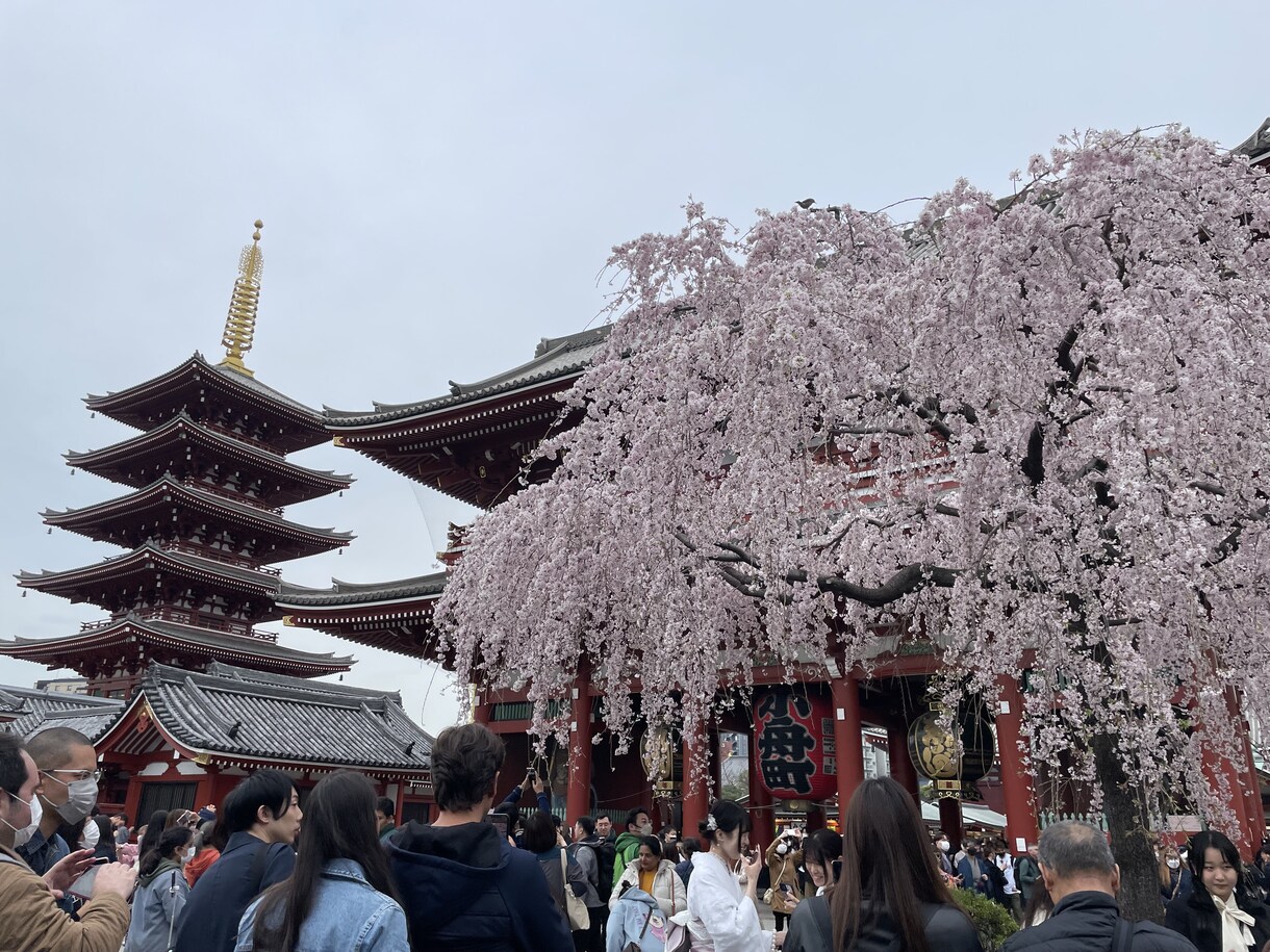 あなたの悩みどんどん吐きましょ！何でも聞きます 私の事は気にせずどんどん悩みを吐いてね！タメ口、即切りOK イメージ2