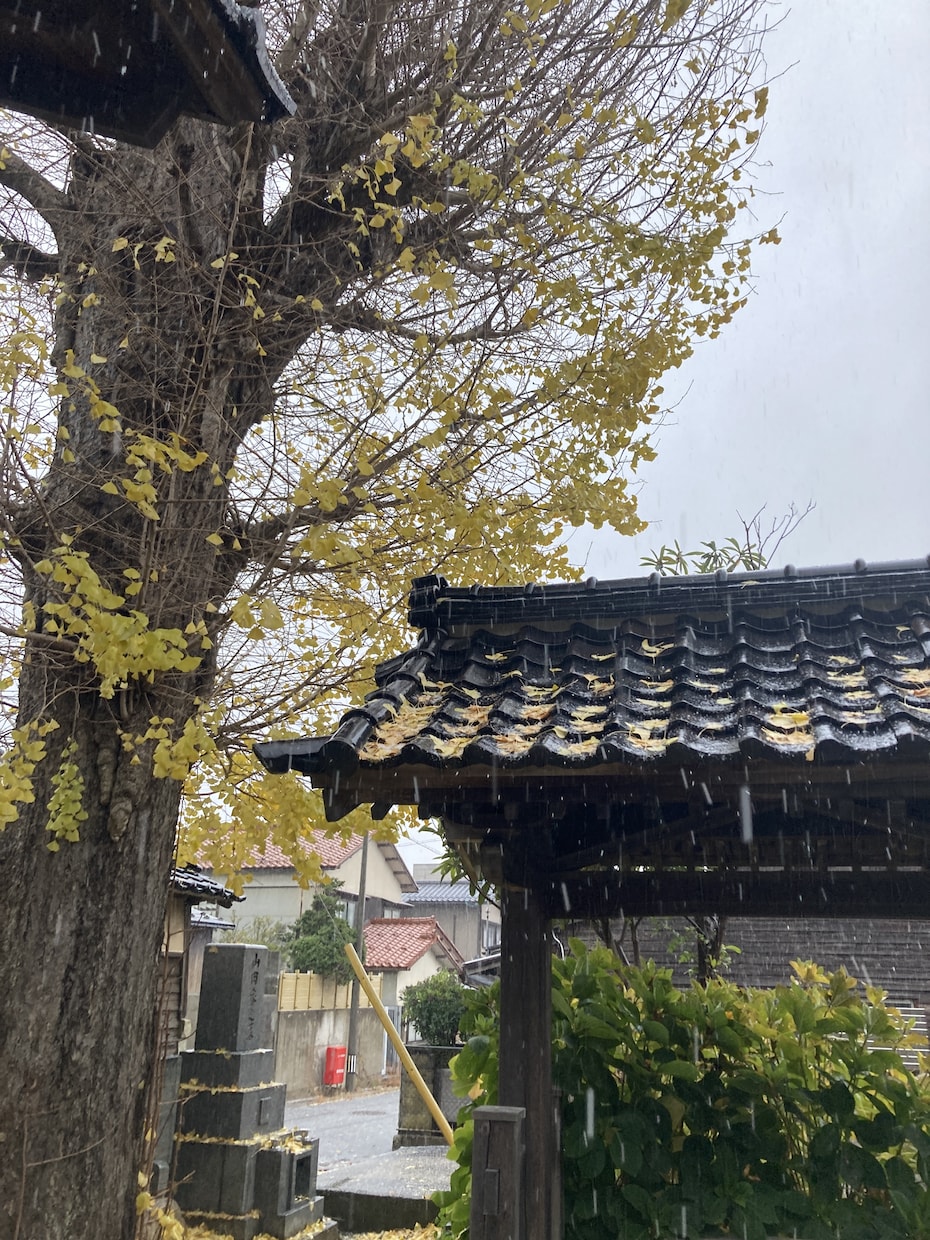 体の痛い所でわかるあなたの考え方の癖をお伝えします 自尊心を高めるお手伝い。こだわりを手放して心身健康になろう イメージ7
