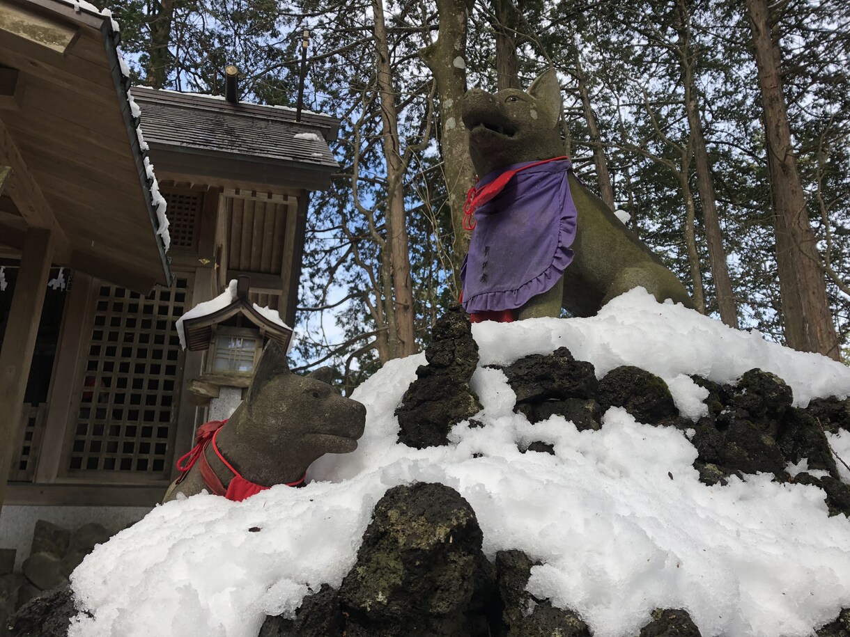 三峰神社等へ神職が代理参拝いたします 関東随一のパワースポットへ貴方の願いをお伝えいたします。 イメージ3