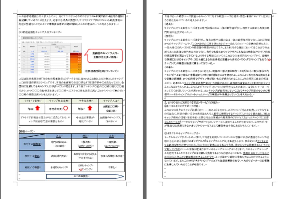 キャンプ用品店★持続化補助金採択書類をお譲りします 採択済み事業計画書を【テンプレート】としても利用できます！ イメージ3